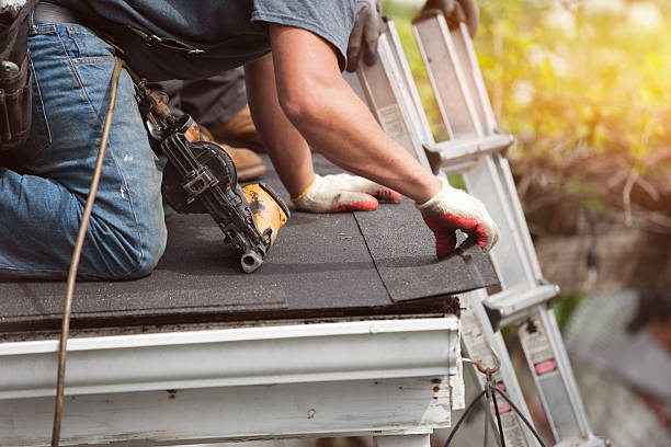 Best Roof Maintenance Services  in Wailua, HI